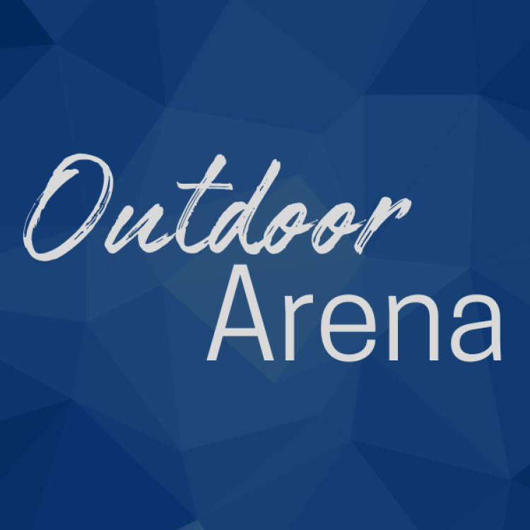  Outdoor arena decor