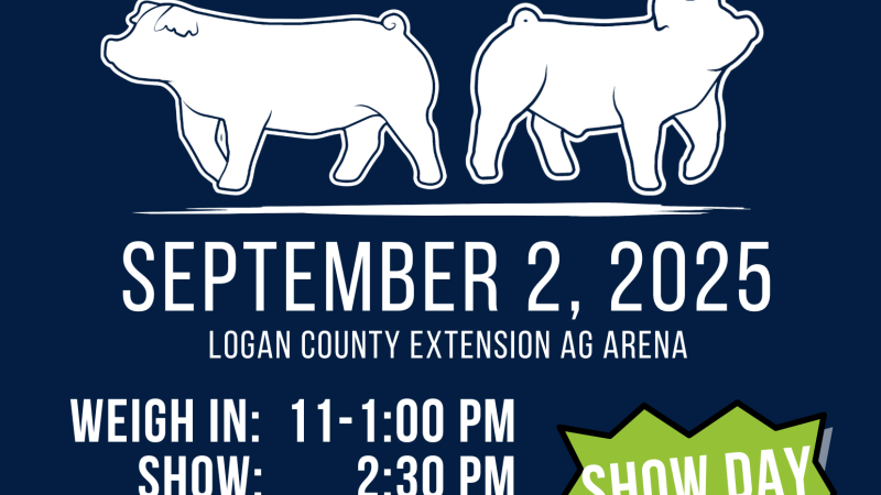Hog Show