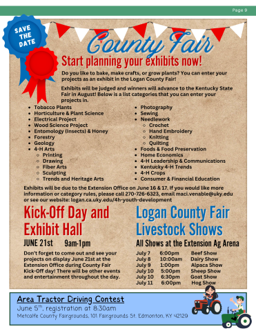 county fair